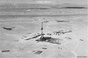 173- ARMEE DE L'AIR EN ALGERIE 1945-1962-21 (52)